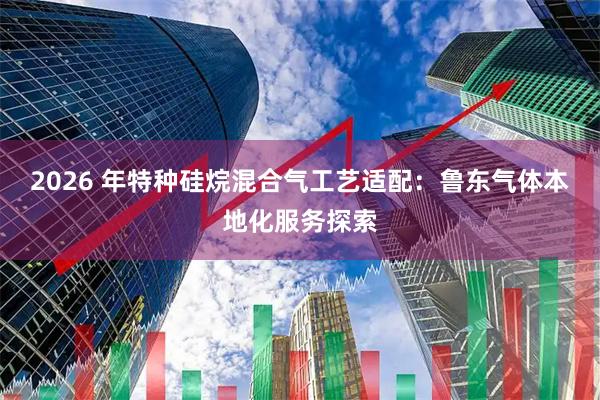 2026 年特种硅烷混合气工艺适配：鲁东气体本地化服务探索